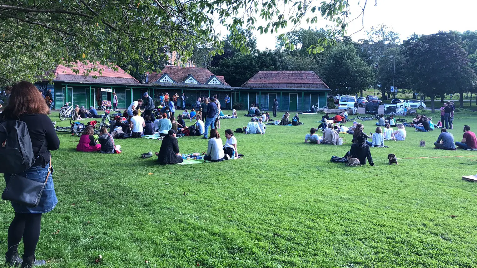 An image to describe post