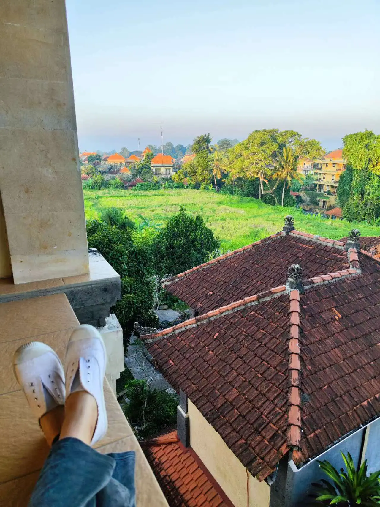 An image to describe post