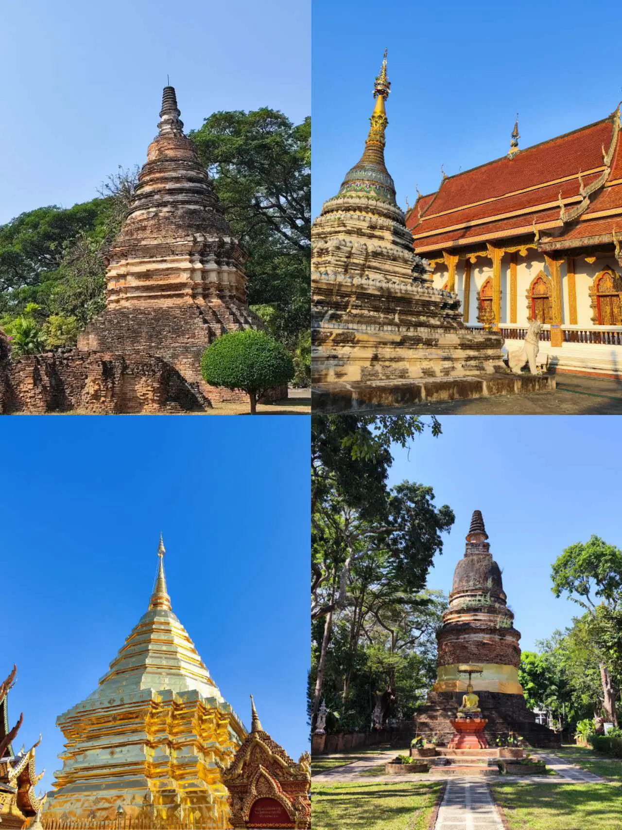 An image to describe post