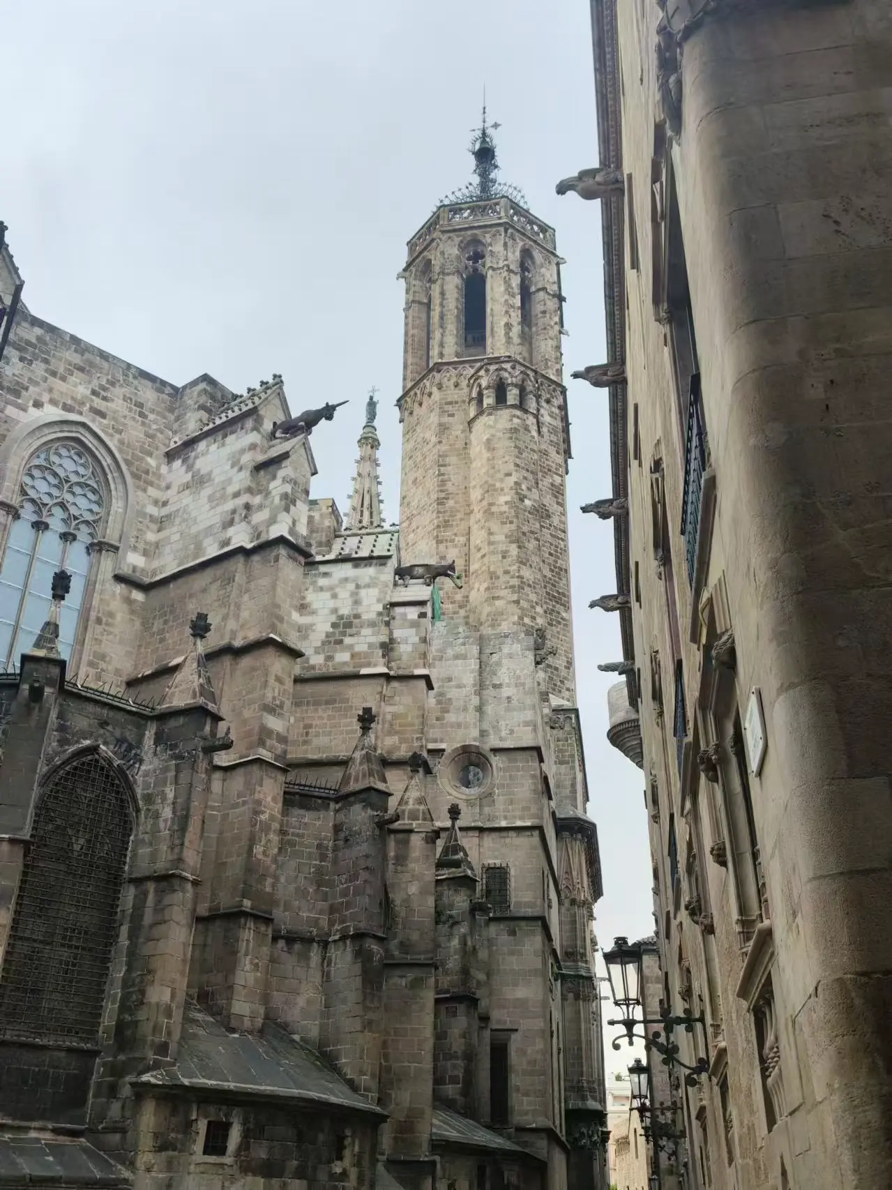 An image to describe post