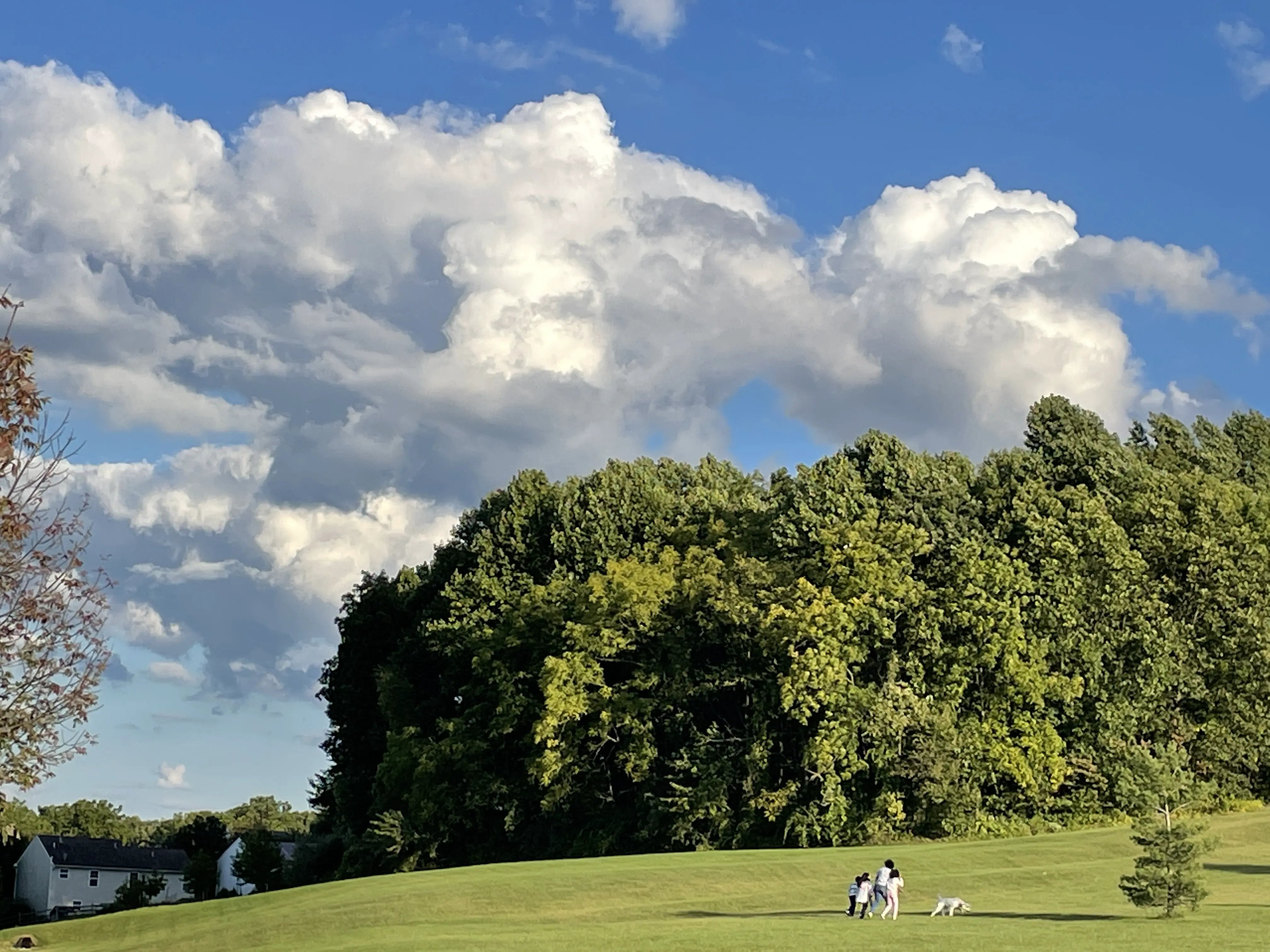 天凉好个秋 自说自话周报 084