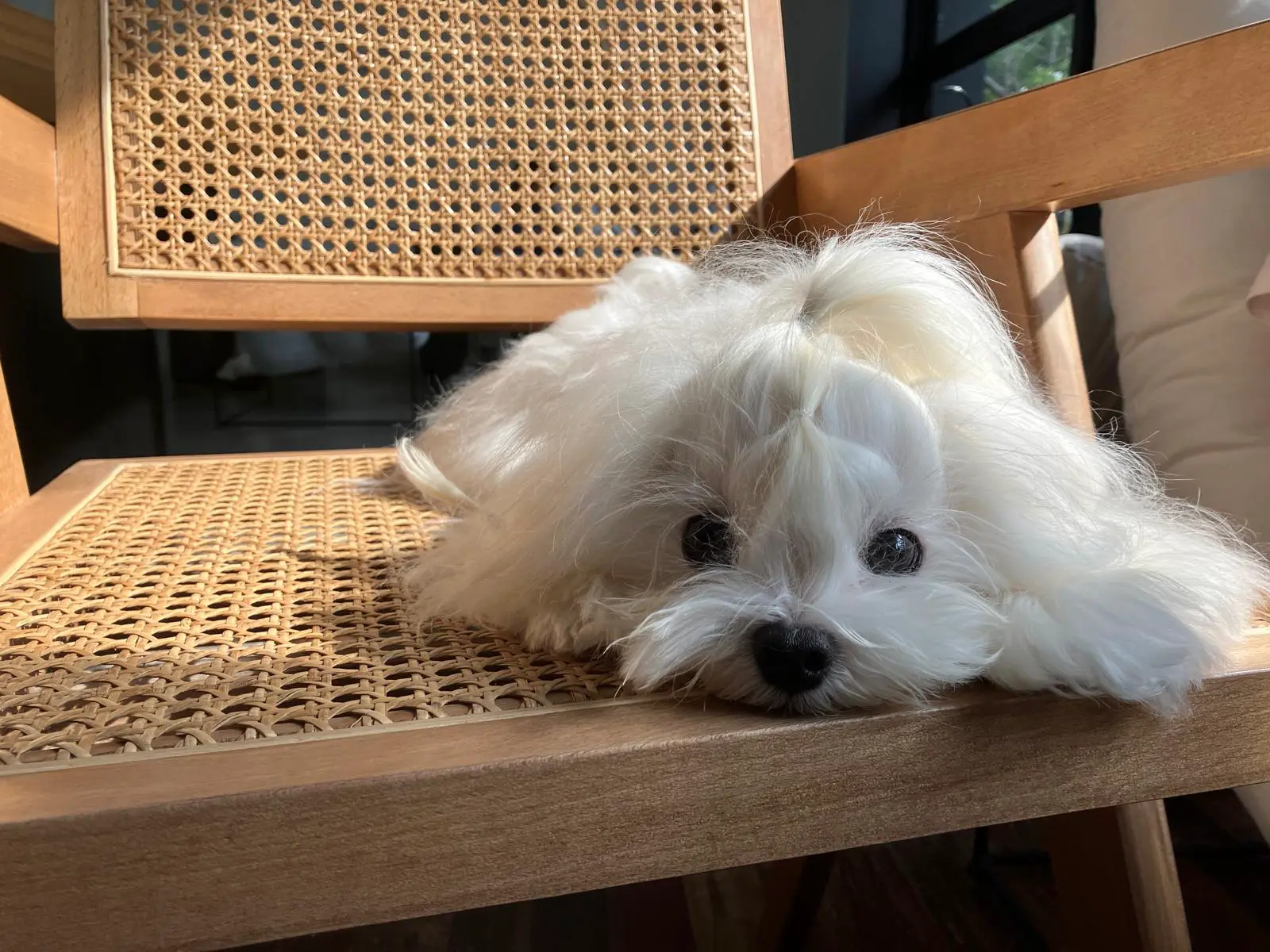 An image to describe post