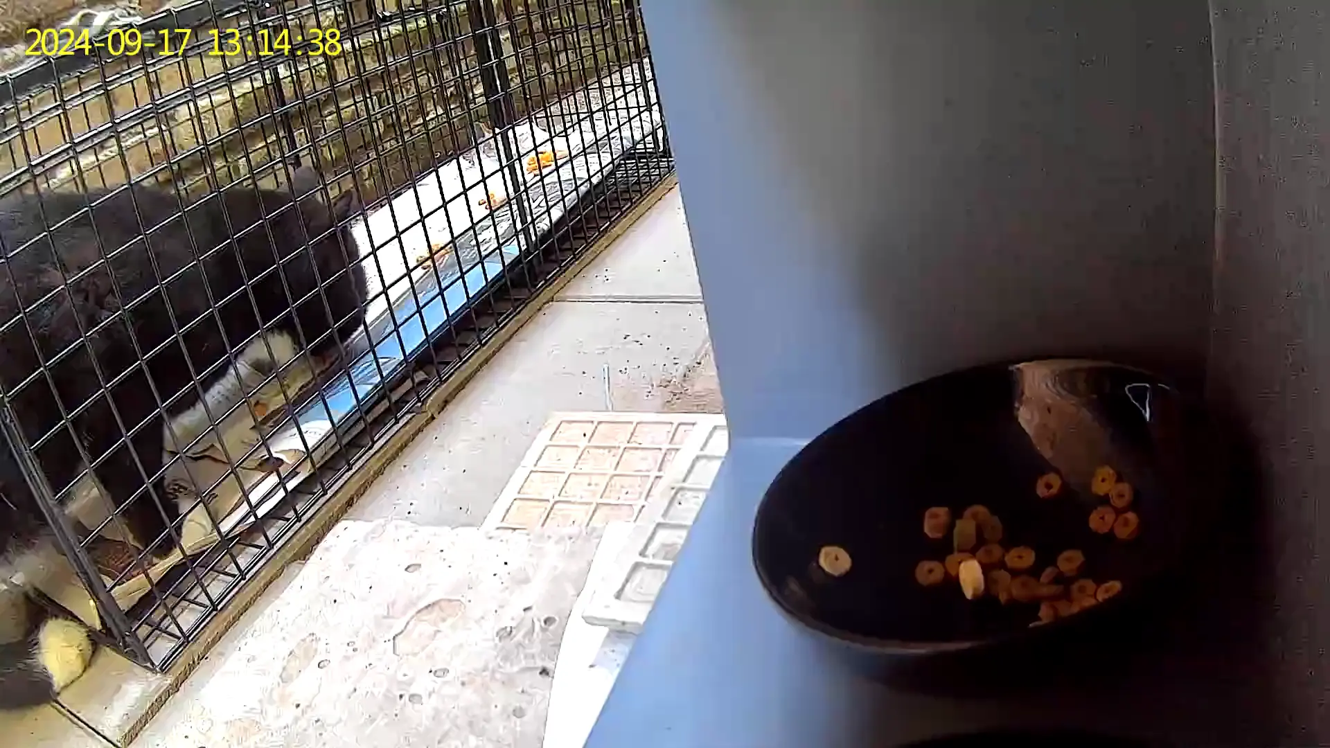 An image to describe post