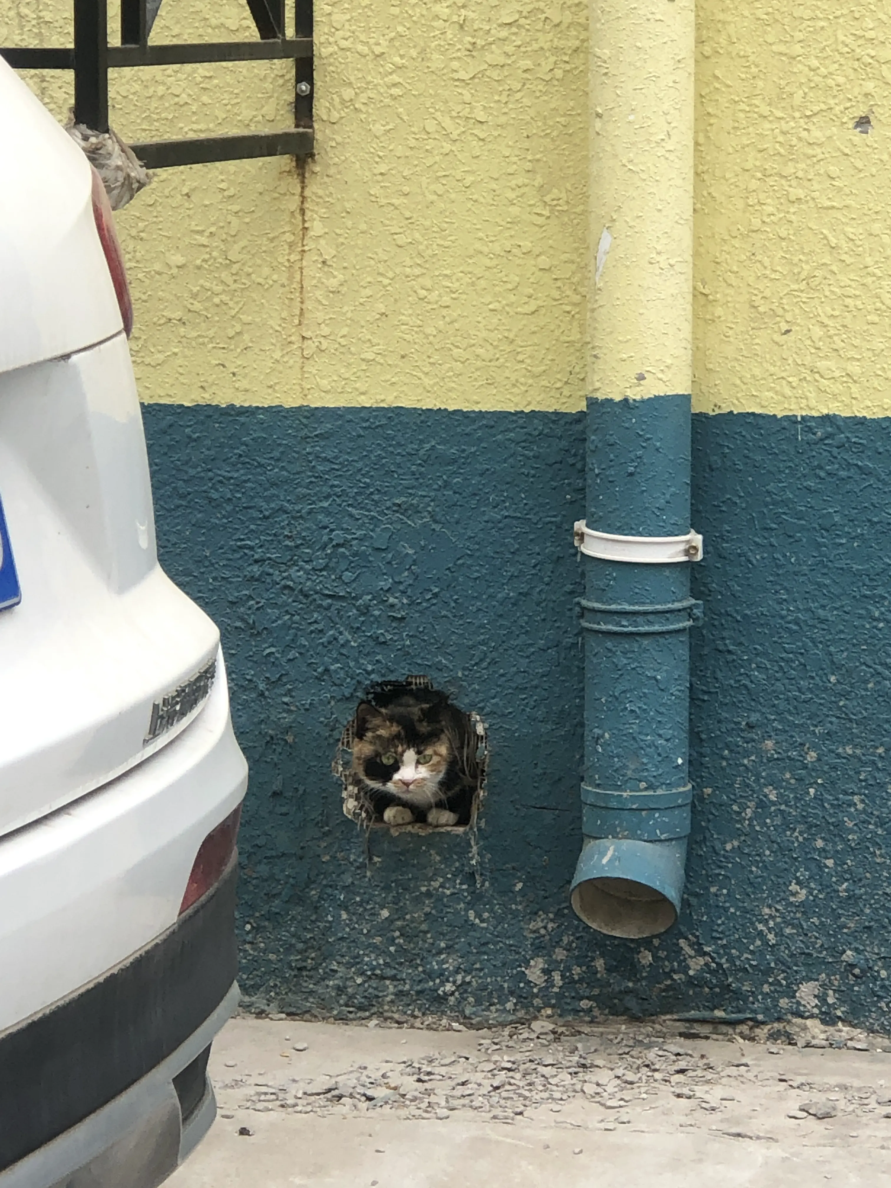 An image to describe post