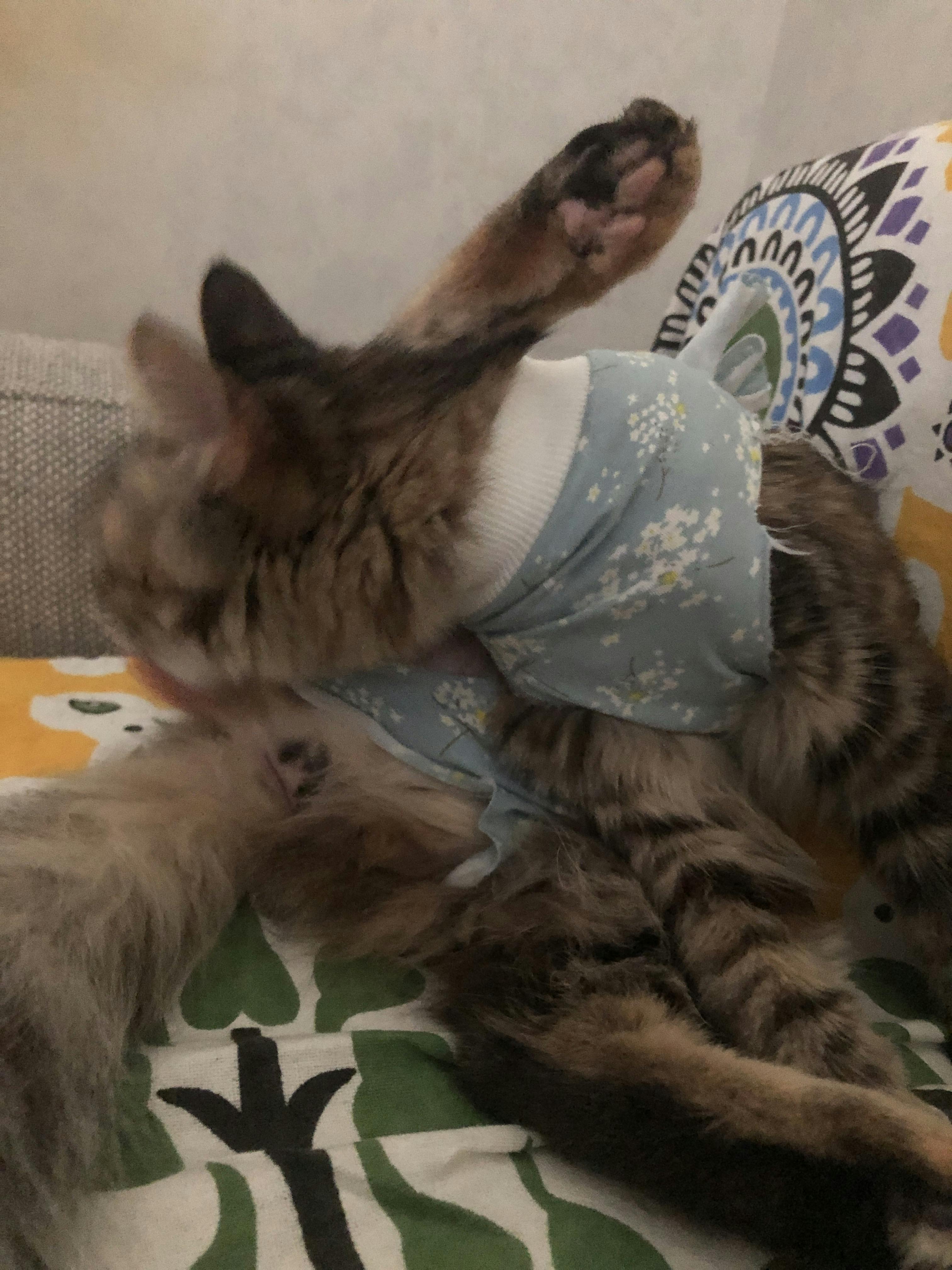 An image to describe post