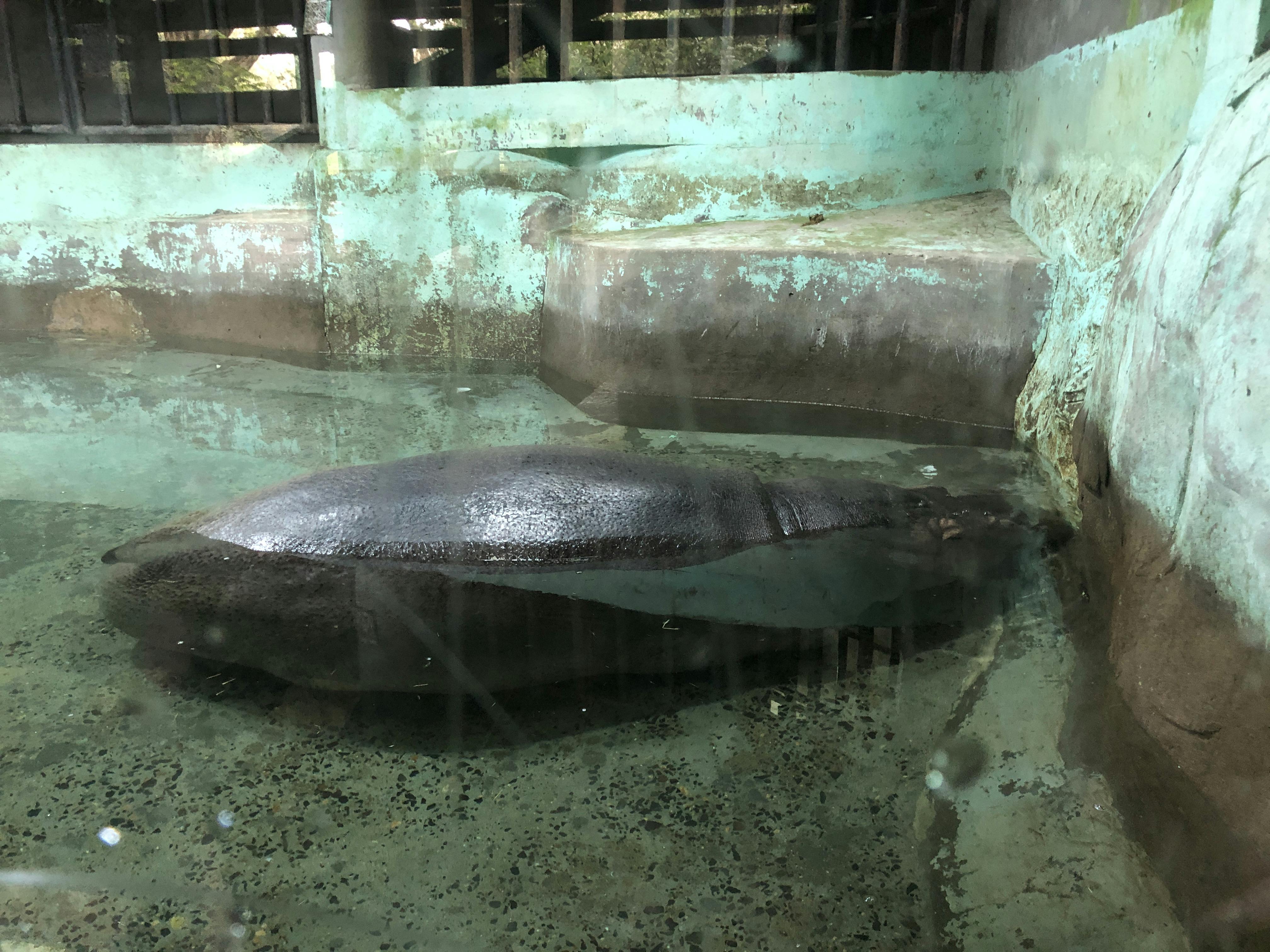 An image to describe post