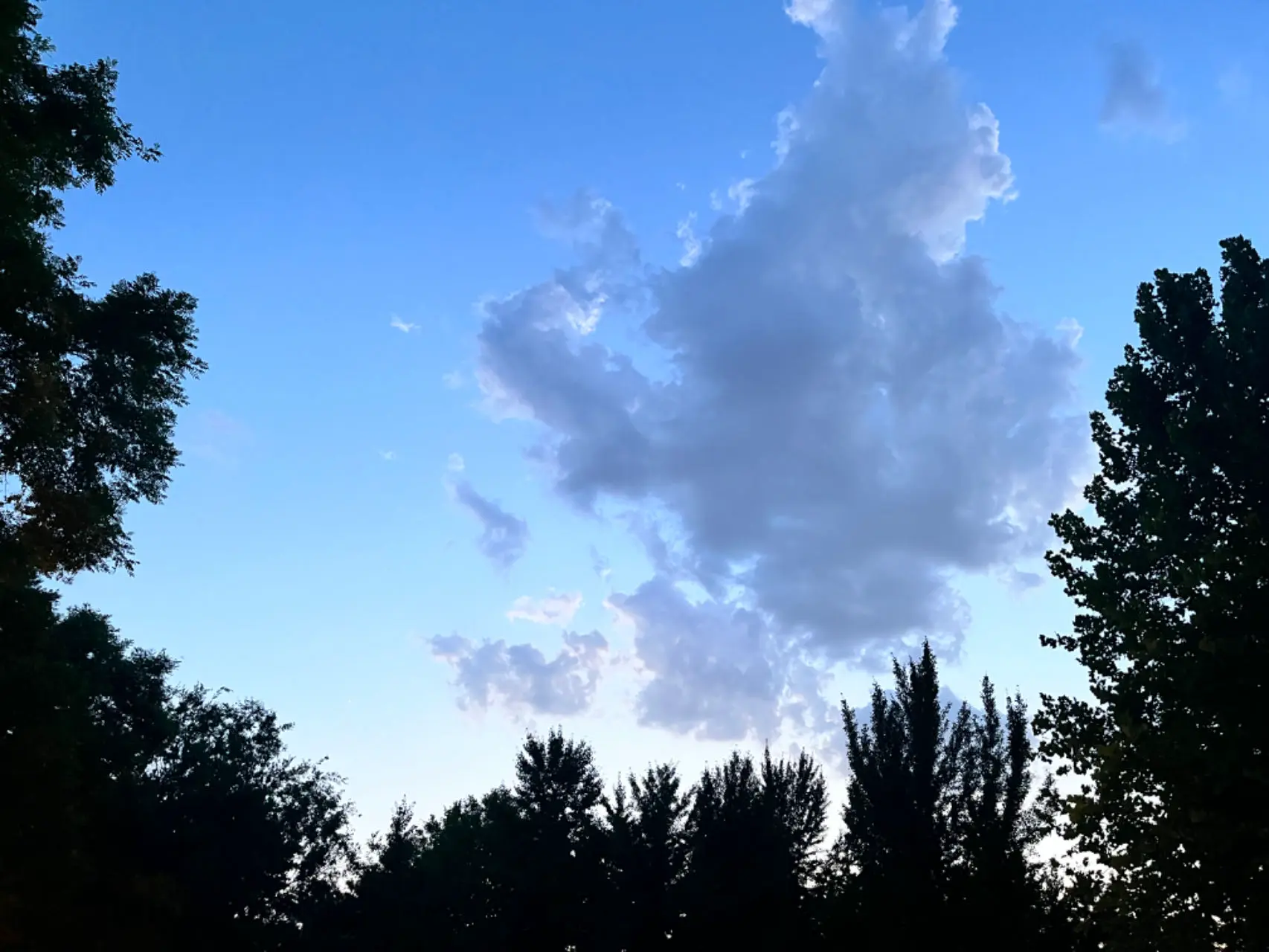 An image to describe post