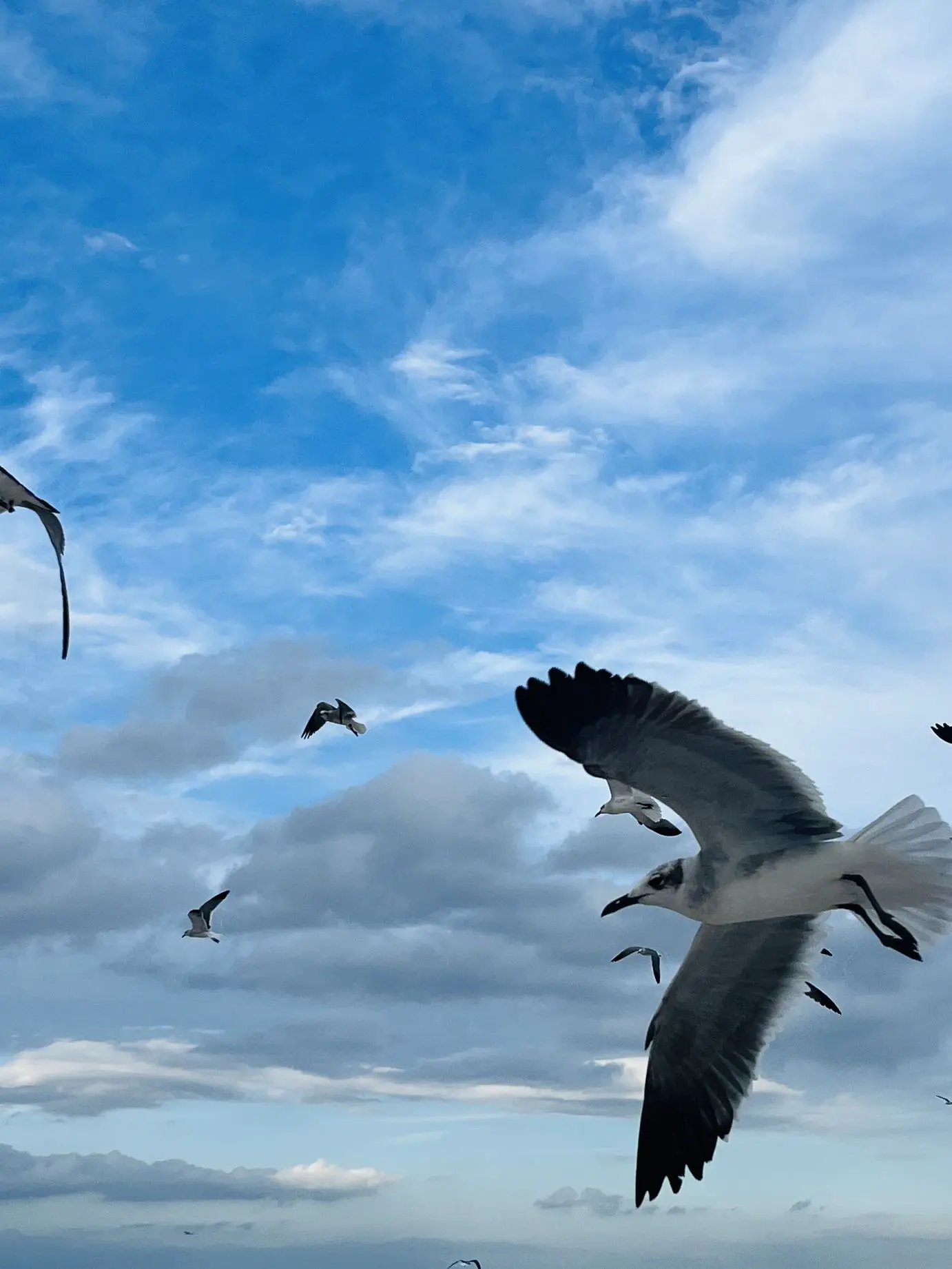 Semi-paranoid #37 与图书馆管理员的对话和一些推荐
