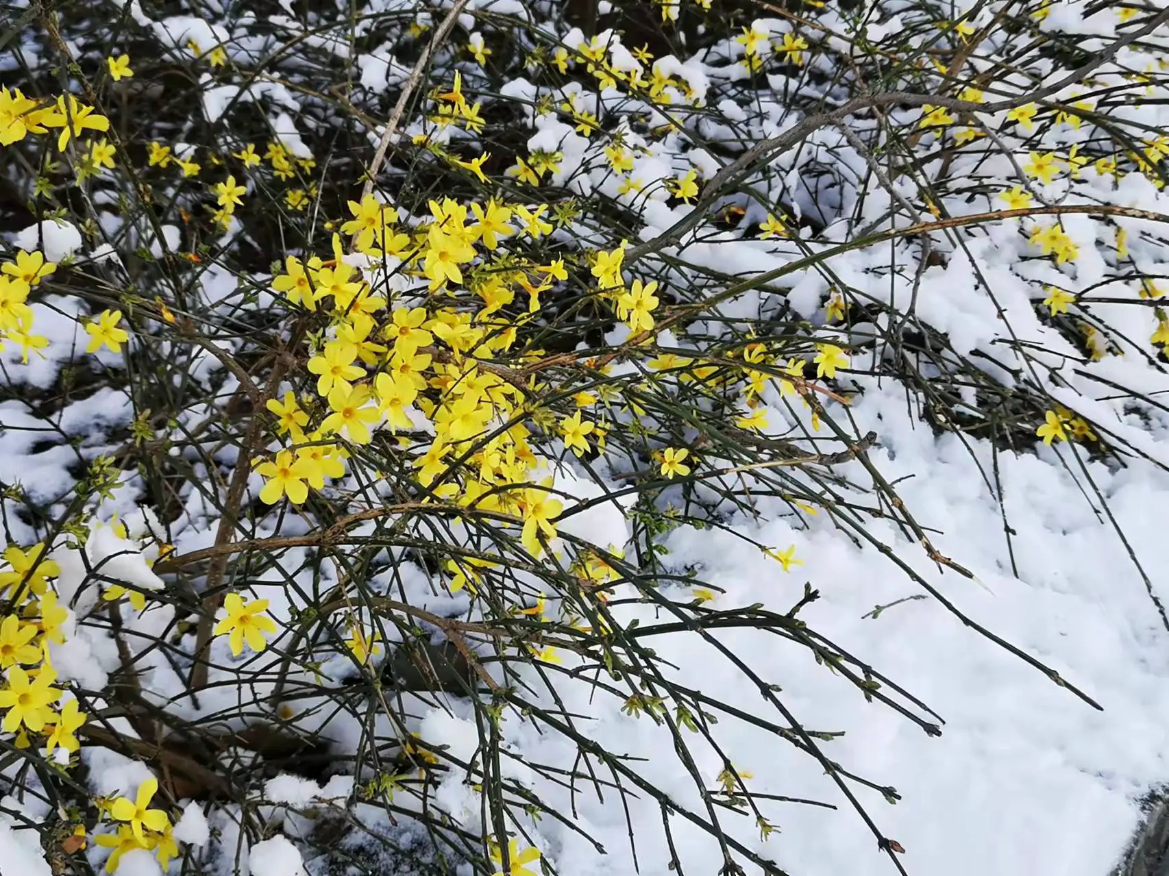 Semi-paranoid #4 读书吃饭读书