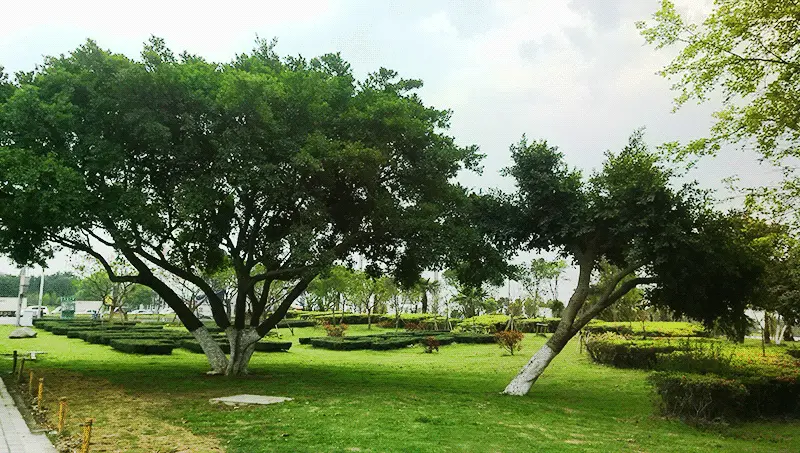 An image to describe post