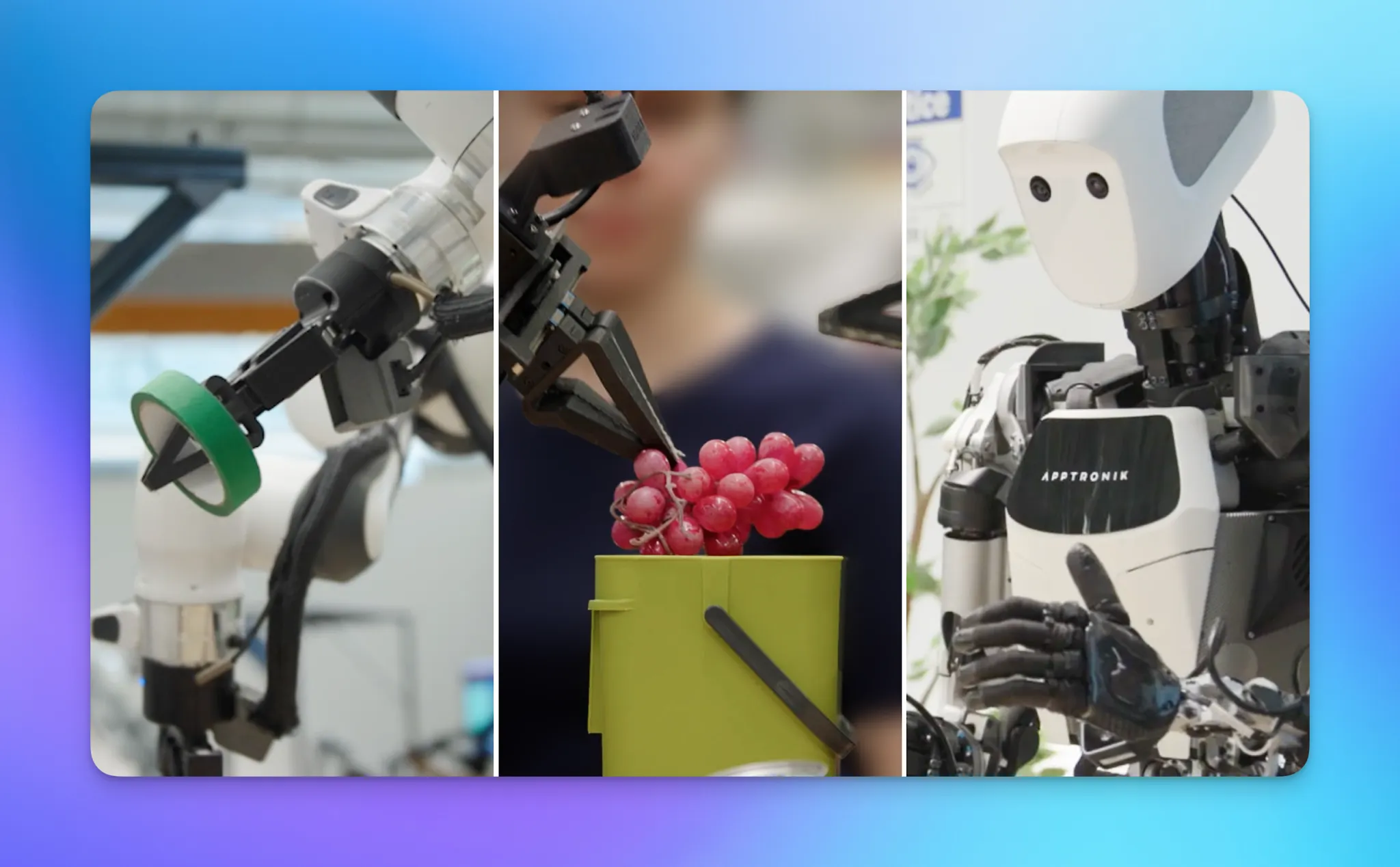 An image to describe post