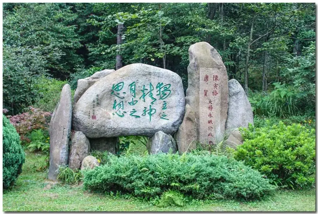 An image to describe post