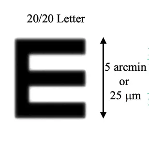 An image to describe post What is the spatial frequency of a 20/20 E optotype on the retina?