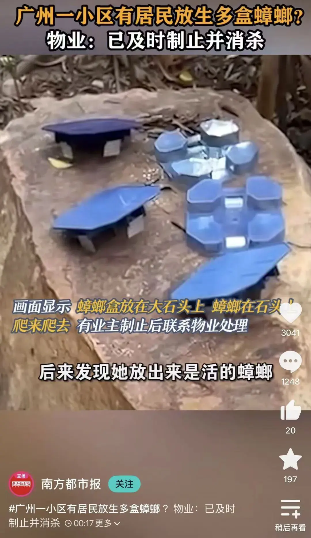 An image to describe post