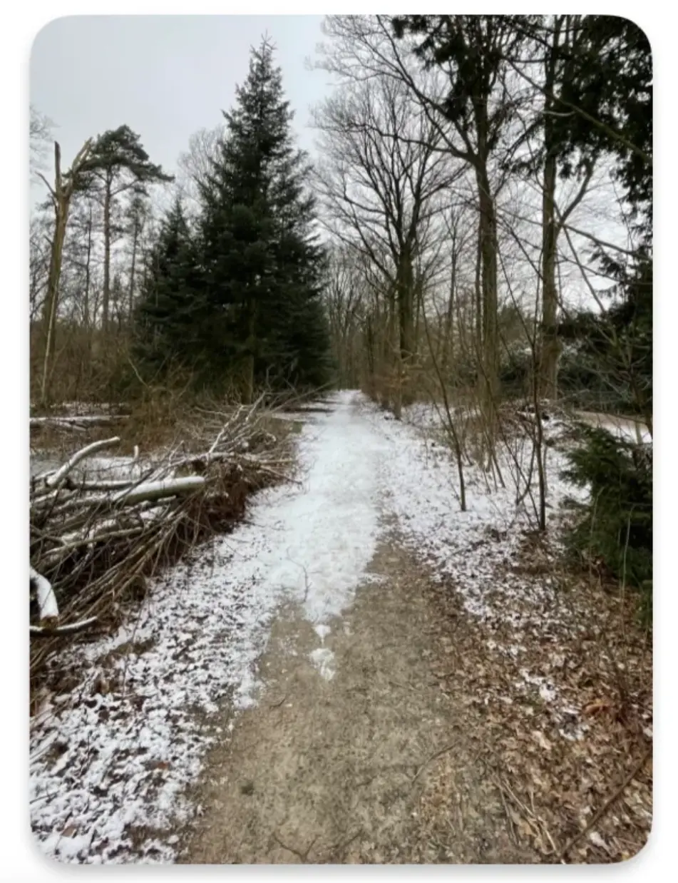 An image to describe post