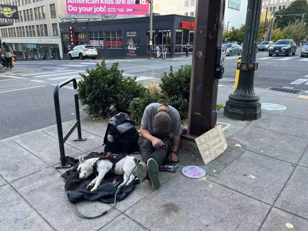 An image to describe post