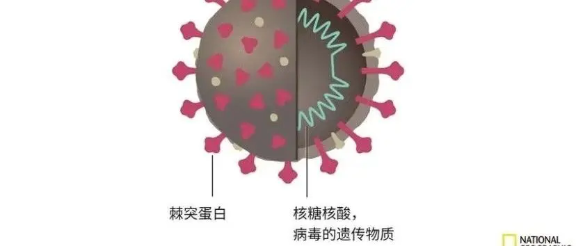 为啥中国没有很快开发出新冠mRNA疫苗？