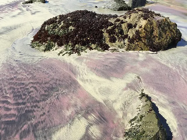 An image to describe post