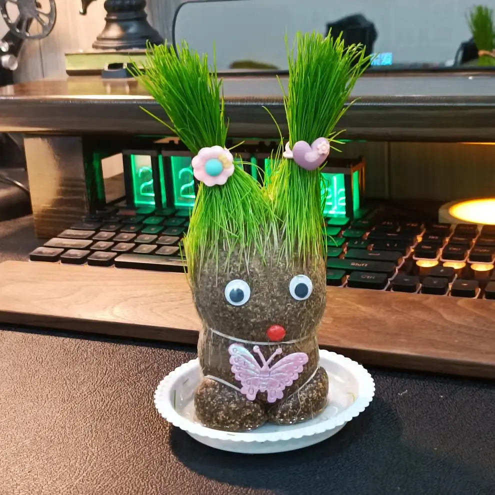 An image to describe post