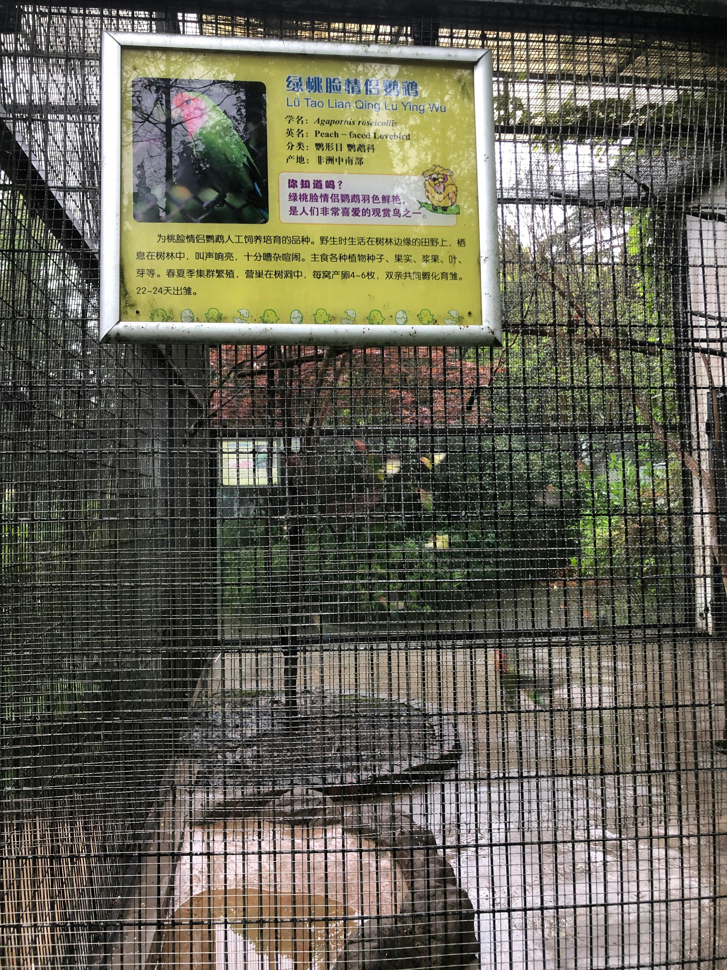 An image to describe post