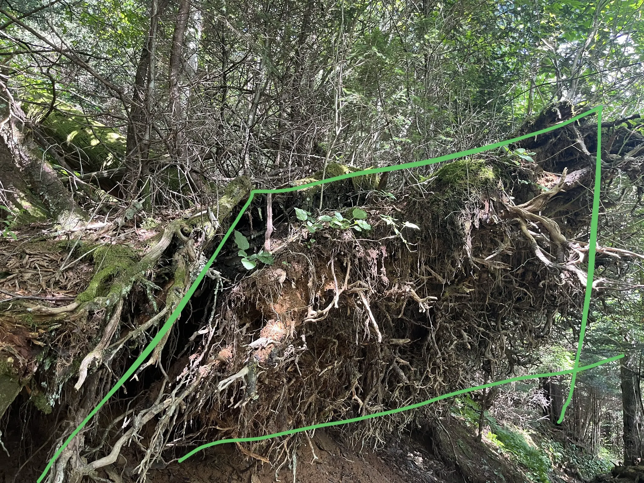 An image to describe post