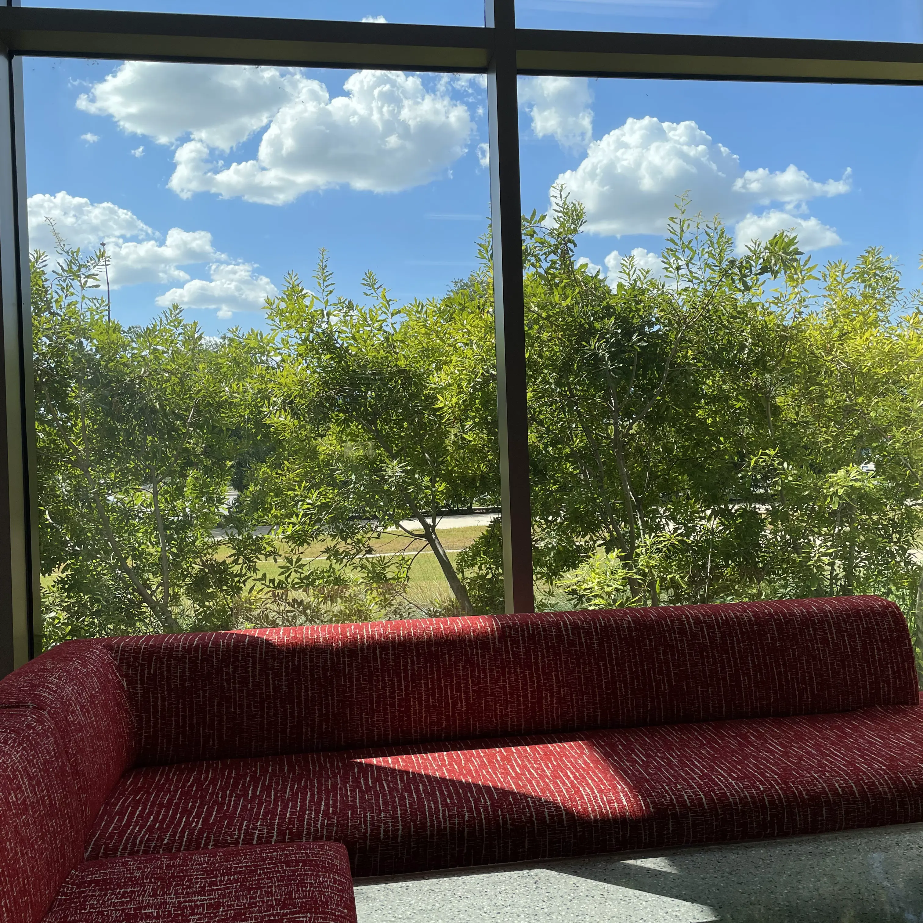 An image to describe post