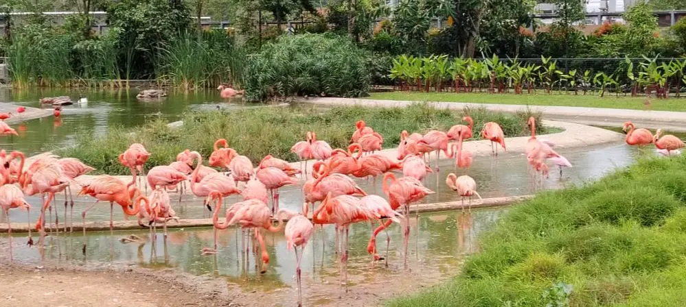 An image to describe post