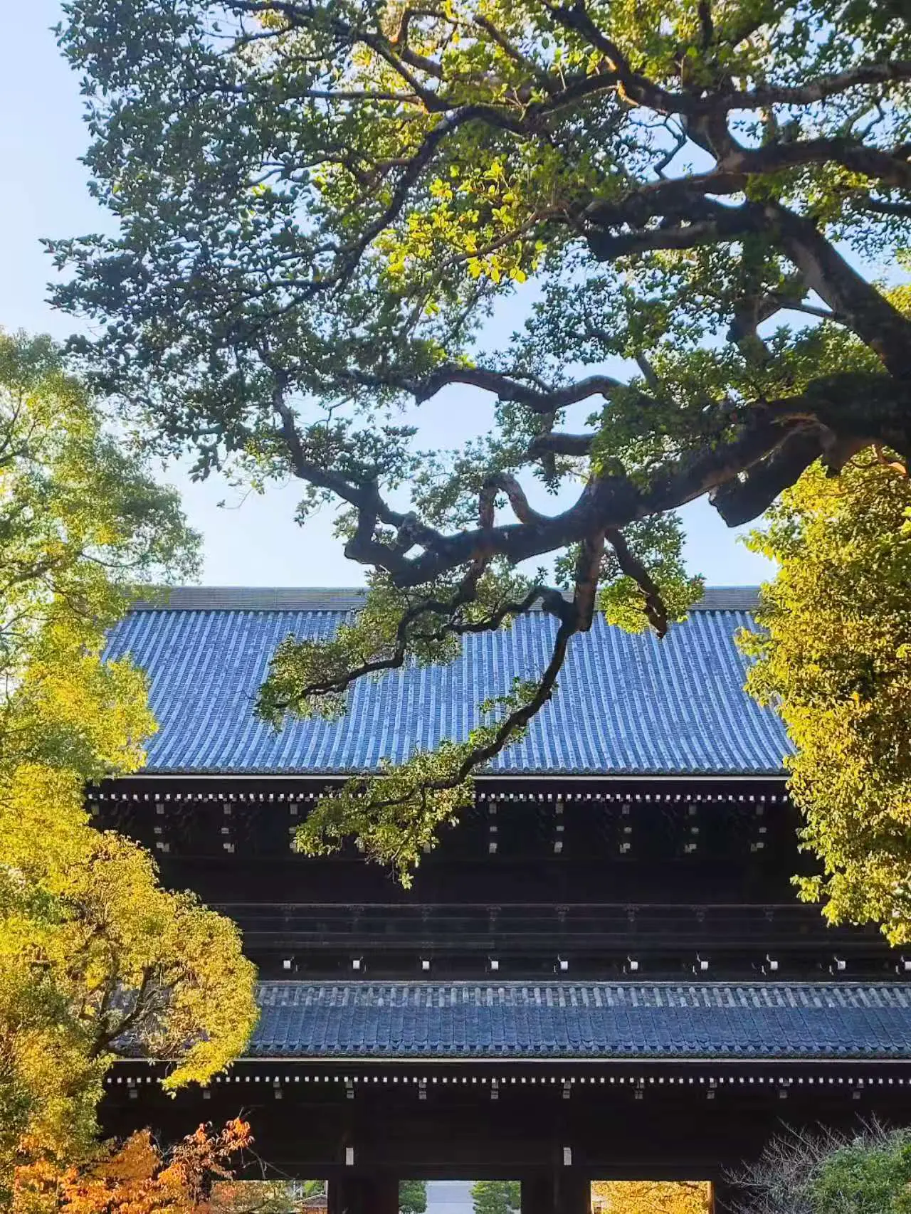 An image to describe post