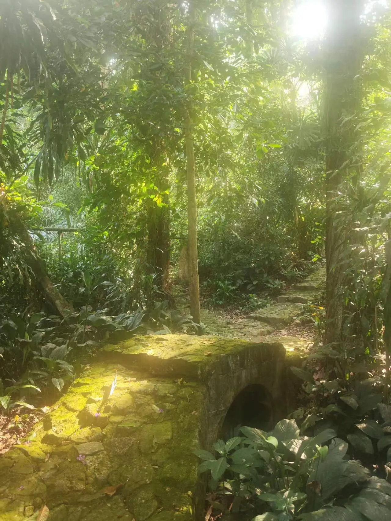 An image to describe post