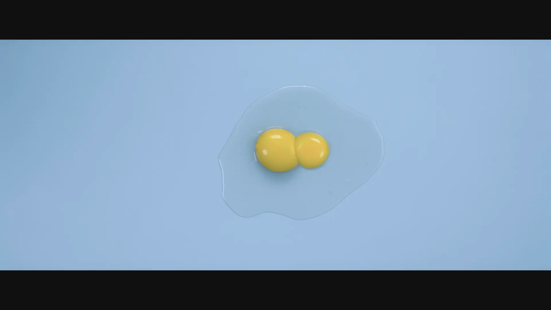 Yolk