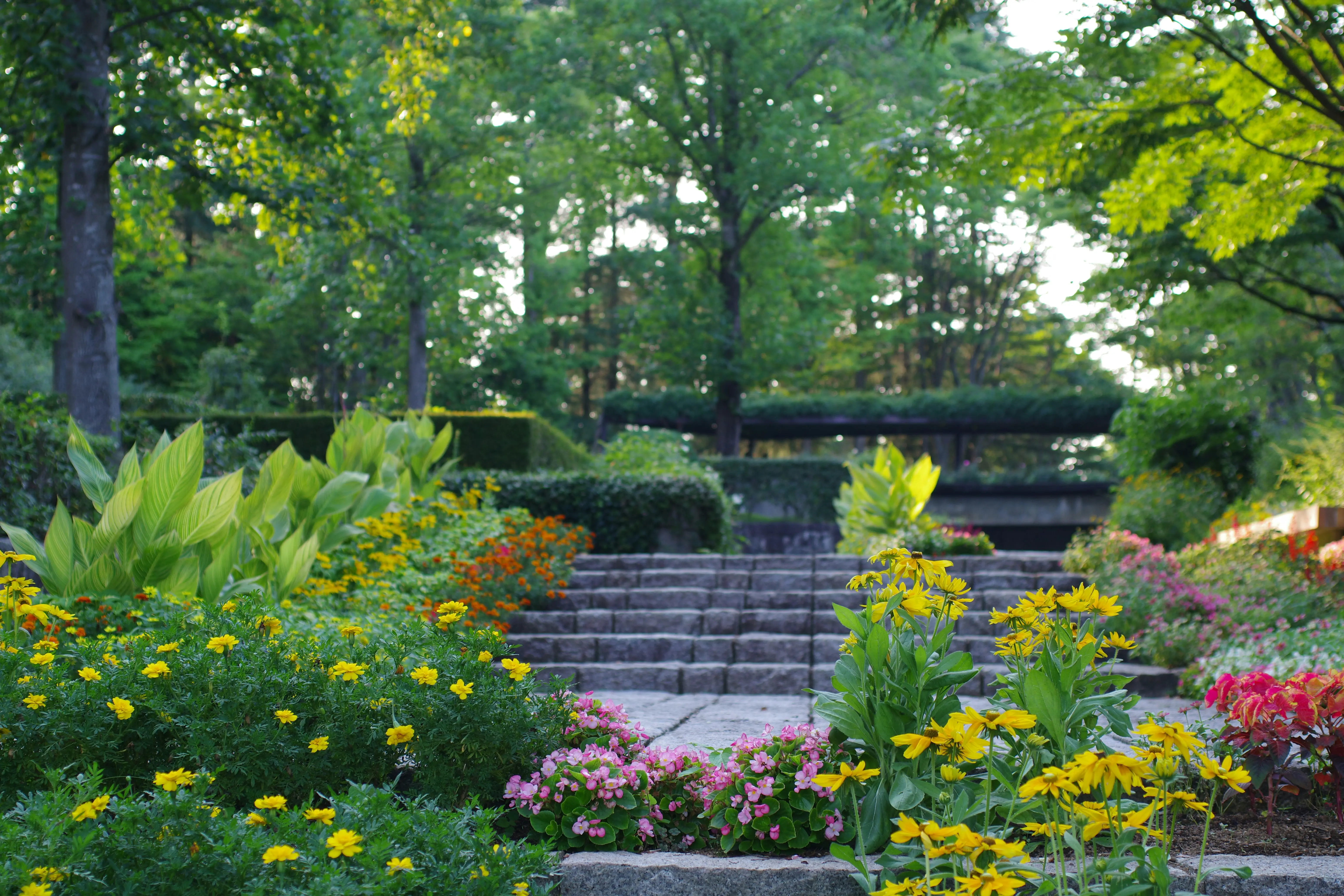 信（2）：AI不能写小说，但我可以送你一个小说大纲生成器