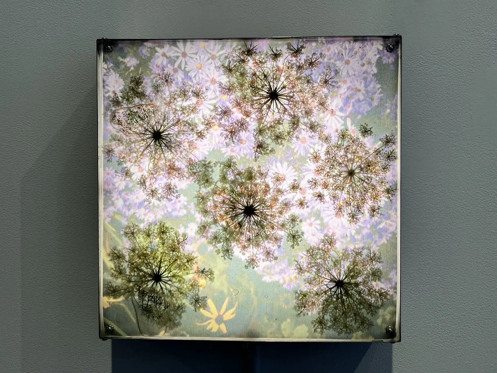 An image to describe post