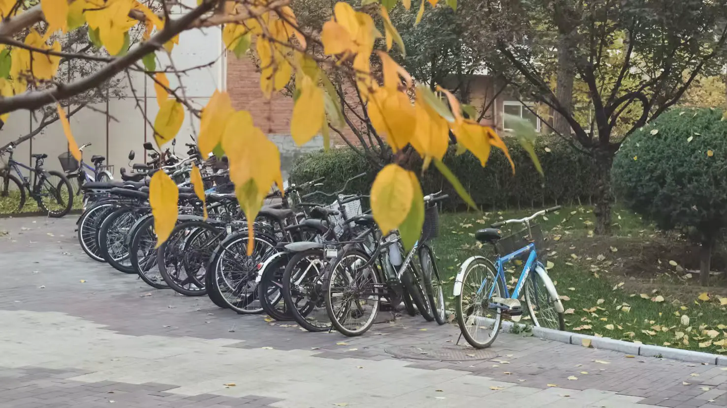 An image to describe post