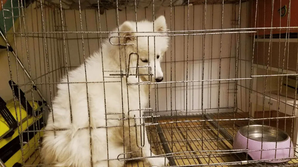 An image to describe post