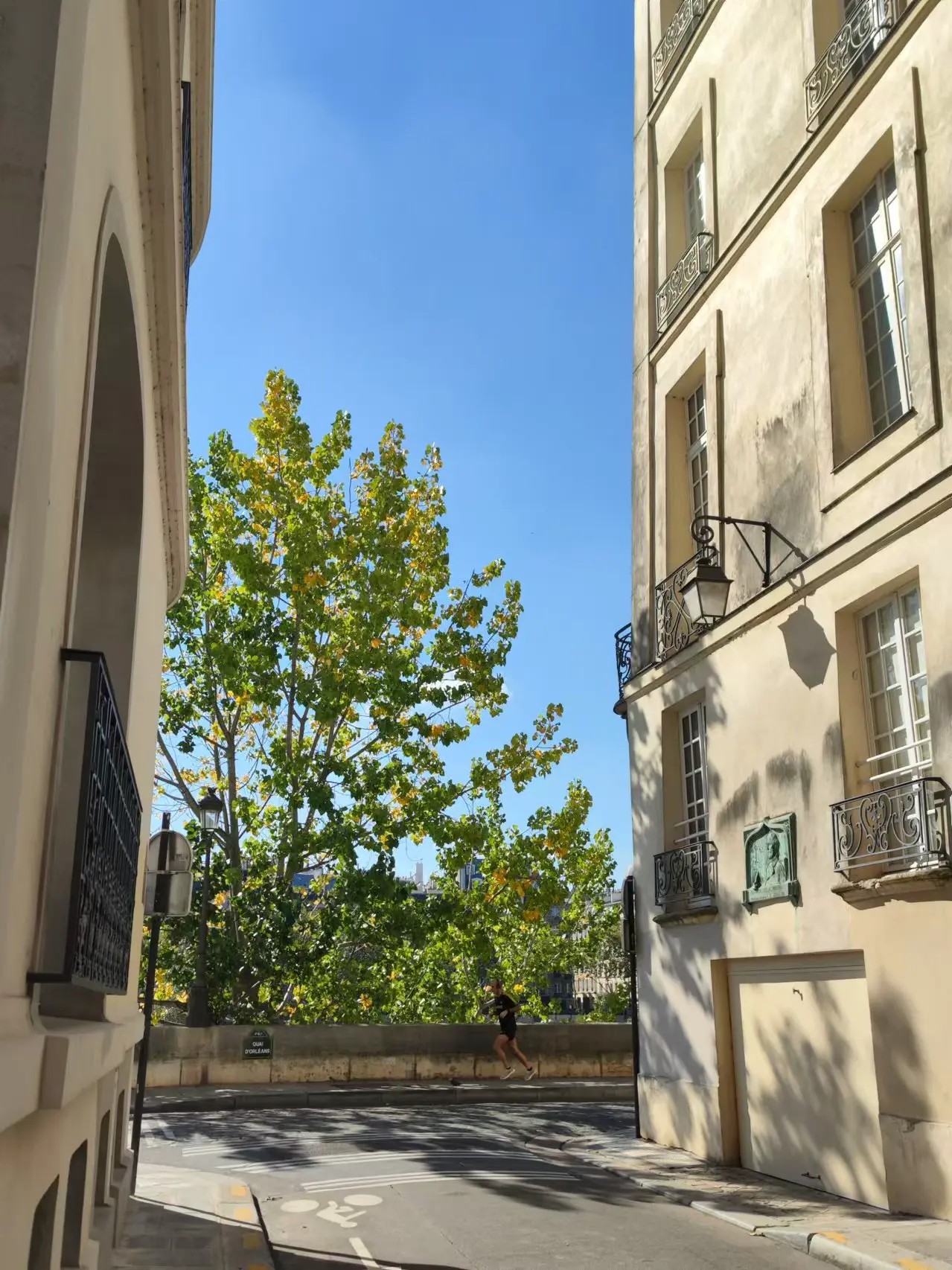 An image to describe post