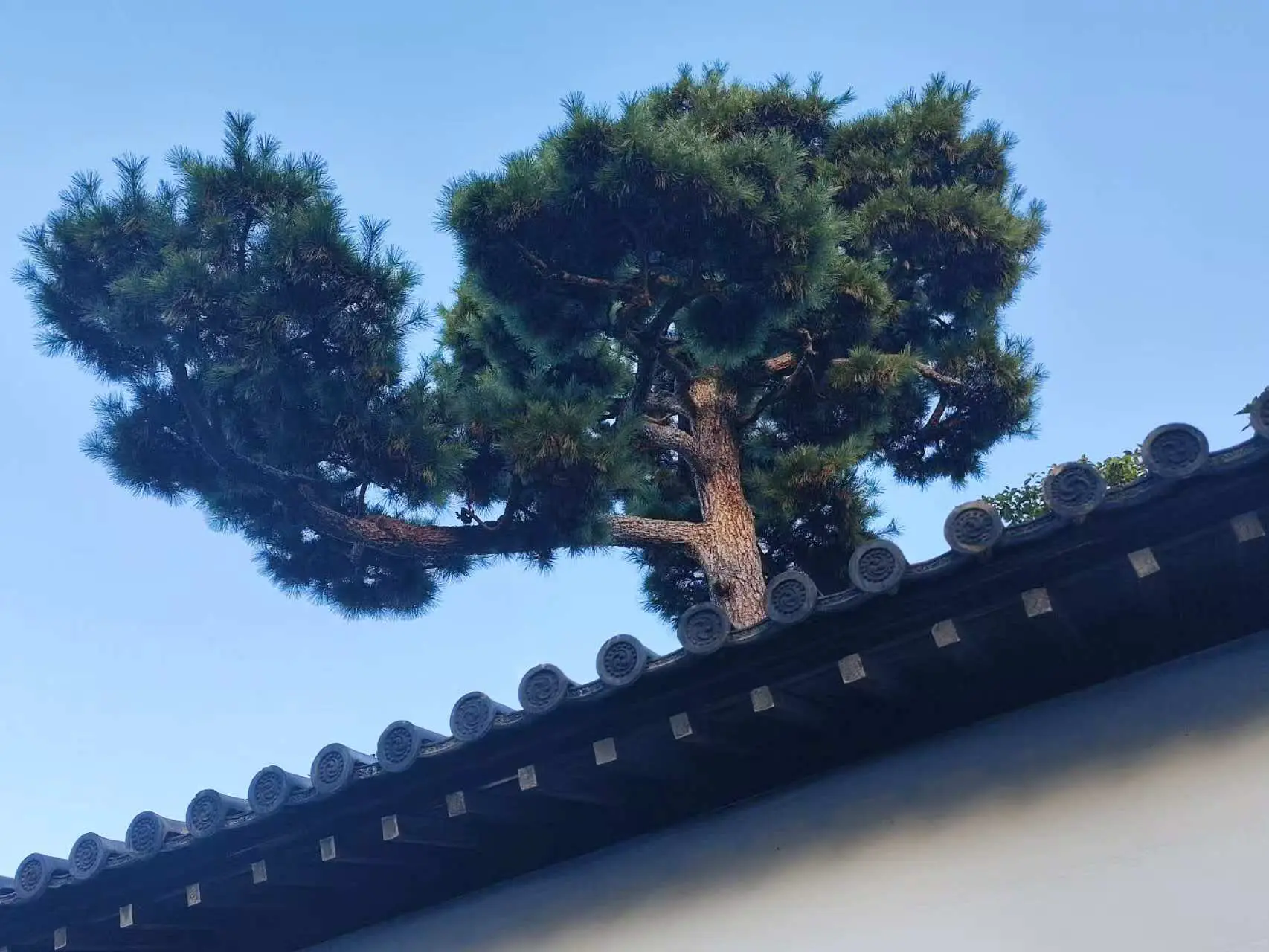 An image to describe post