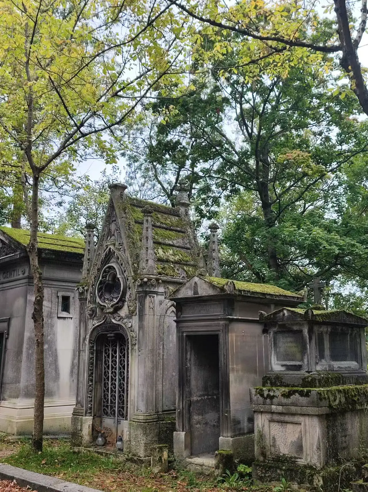 An image to describe post