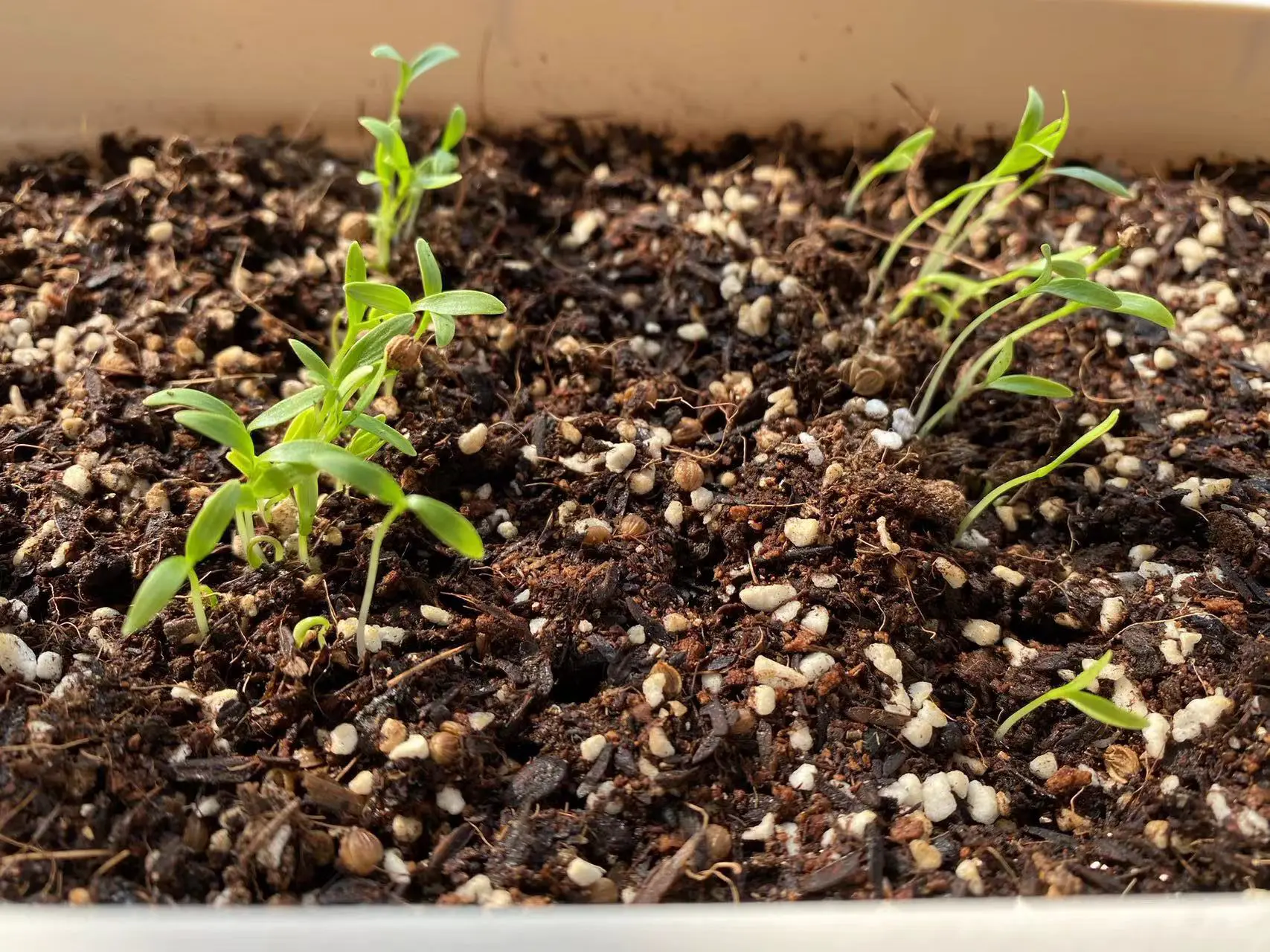 An image to describe post