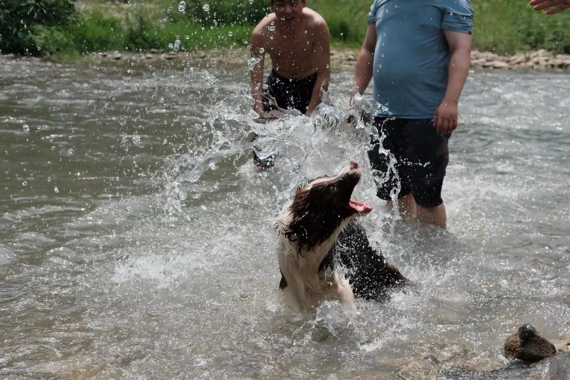 An image to describe post