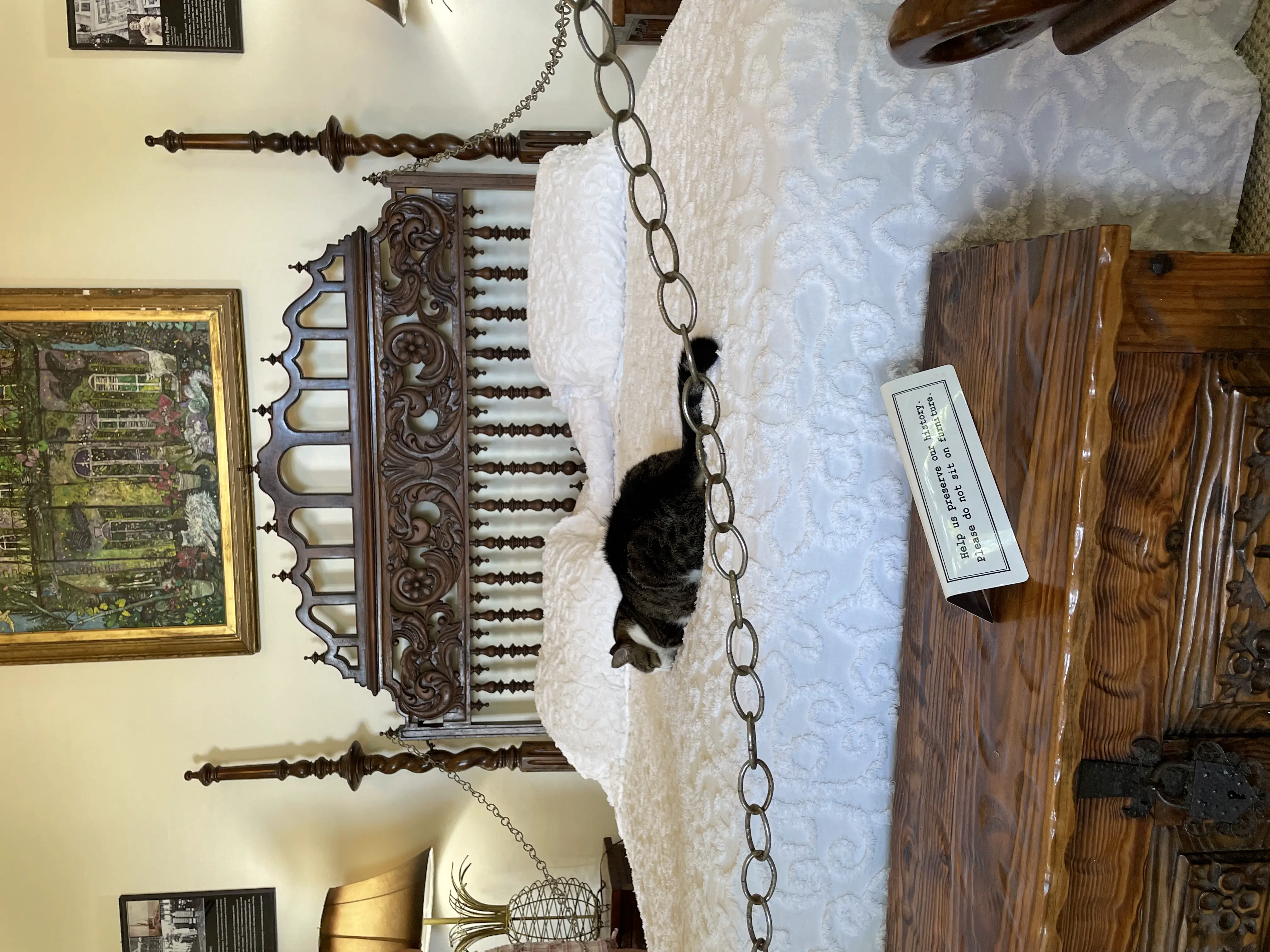 An image to describe post