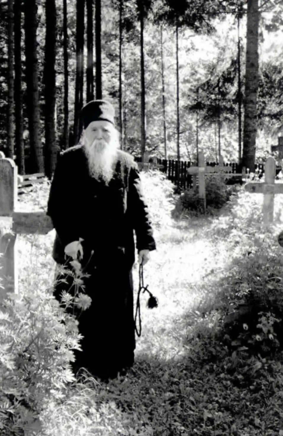 An image to describe post