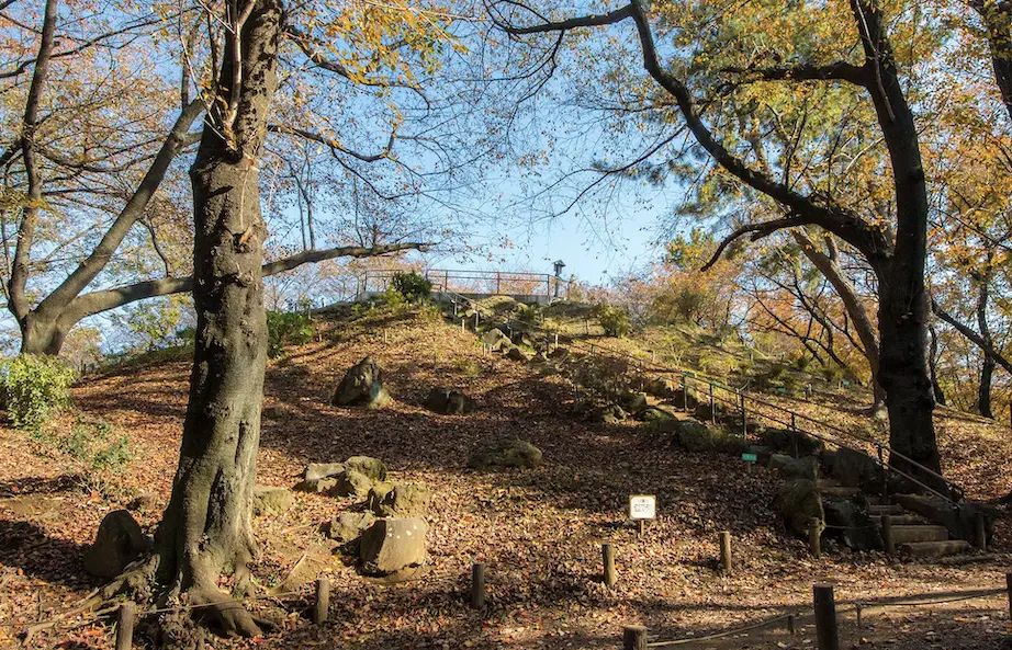 An image to describe post