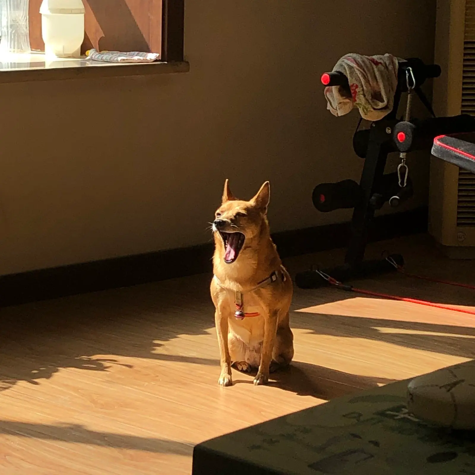 An image to describe post