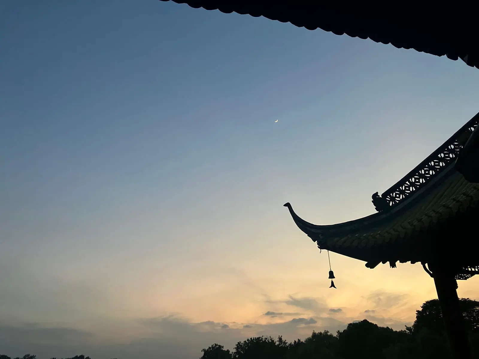 An image to describe post