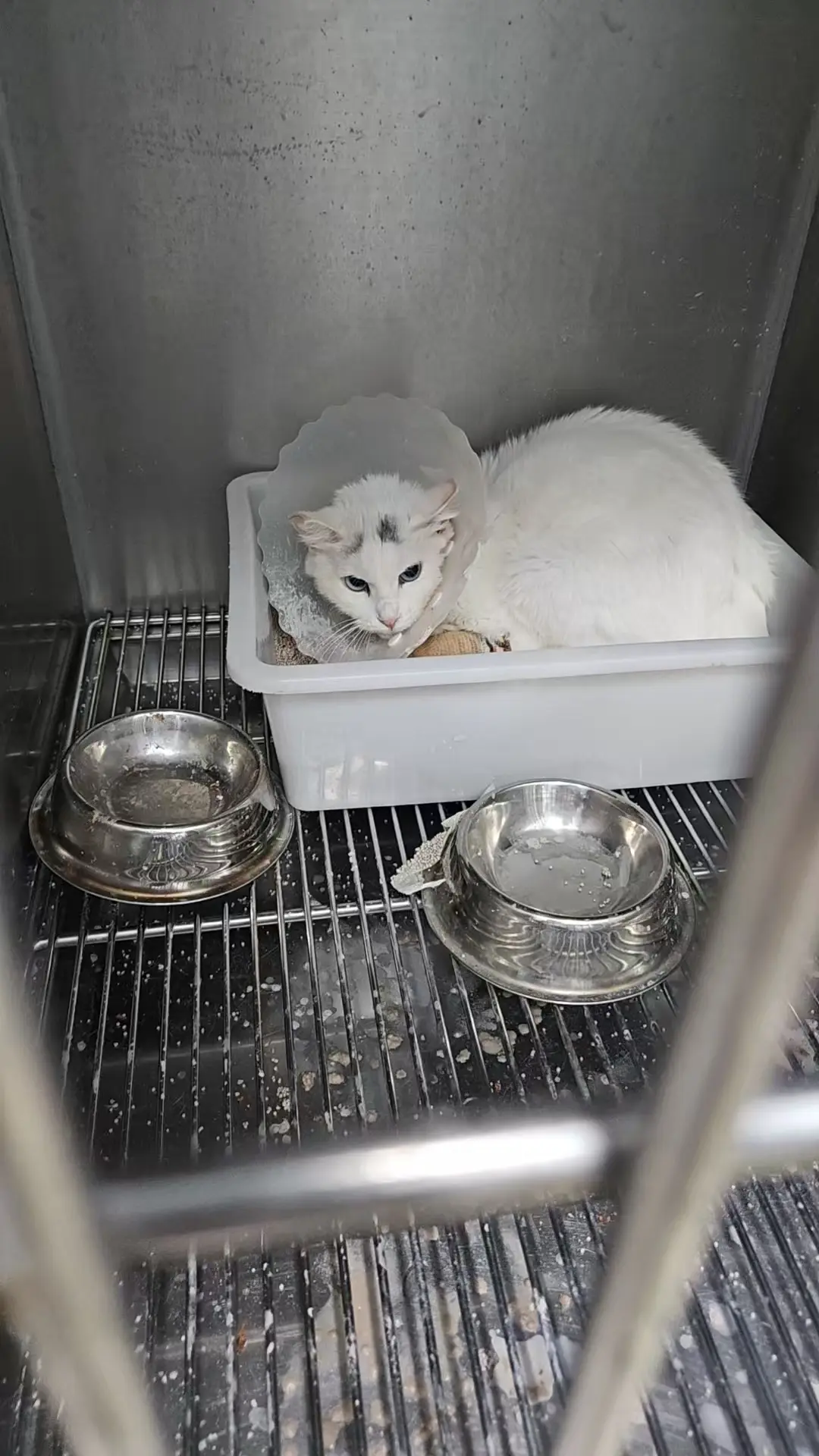 An image to describe post