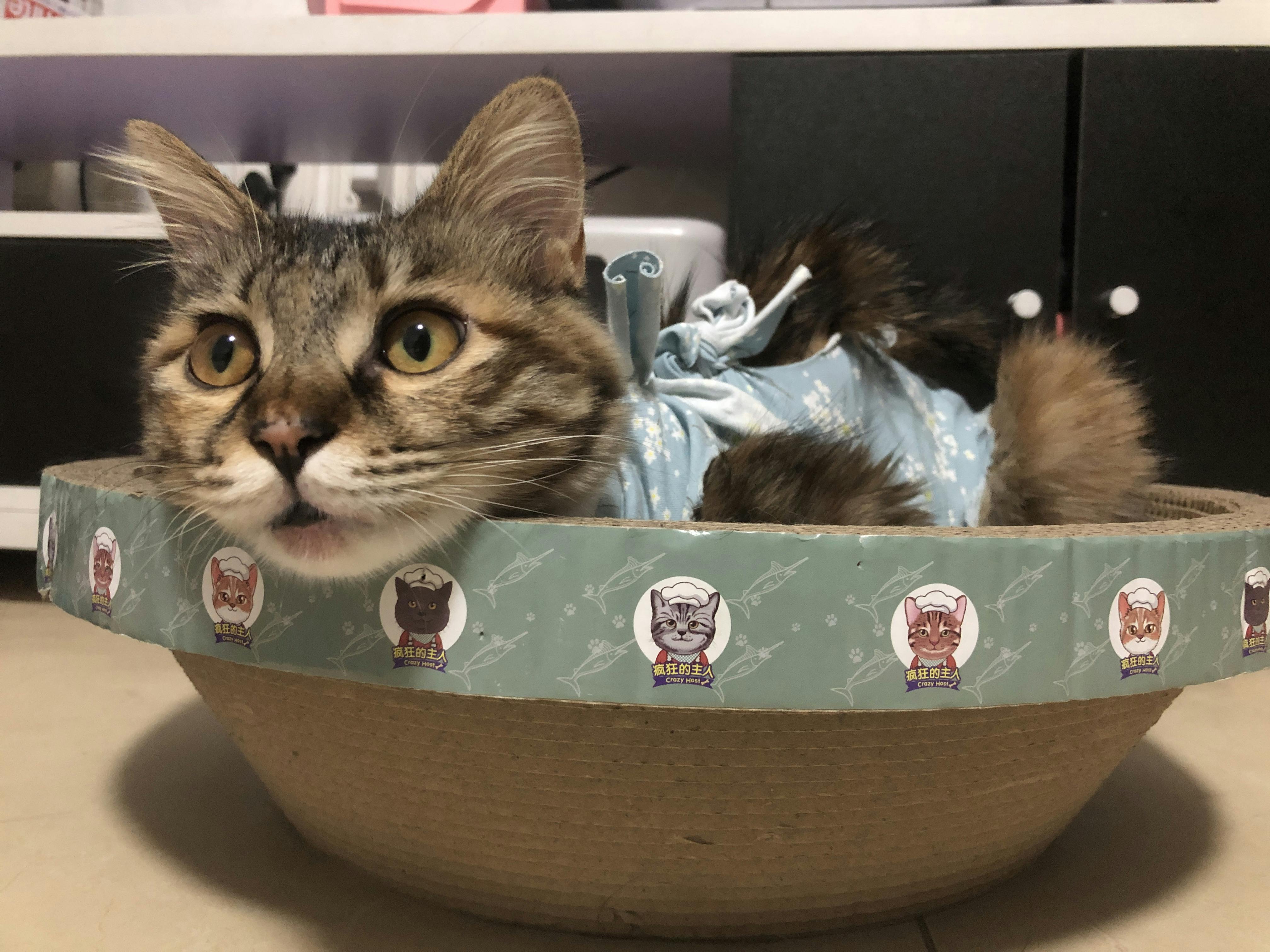 An image to describe post