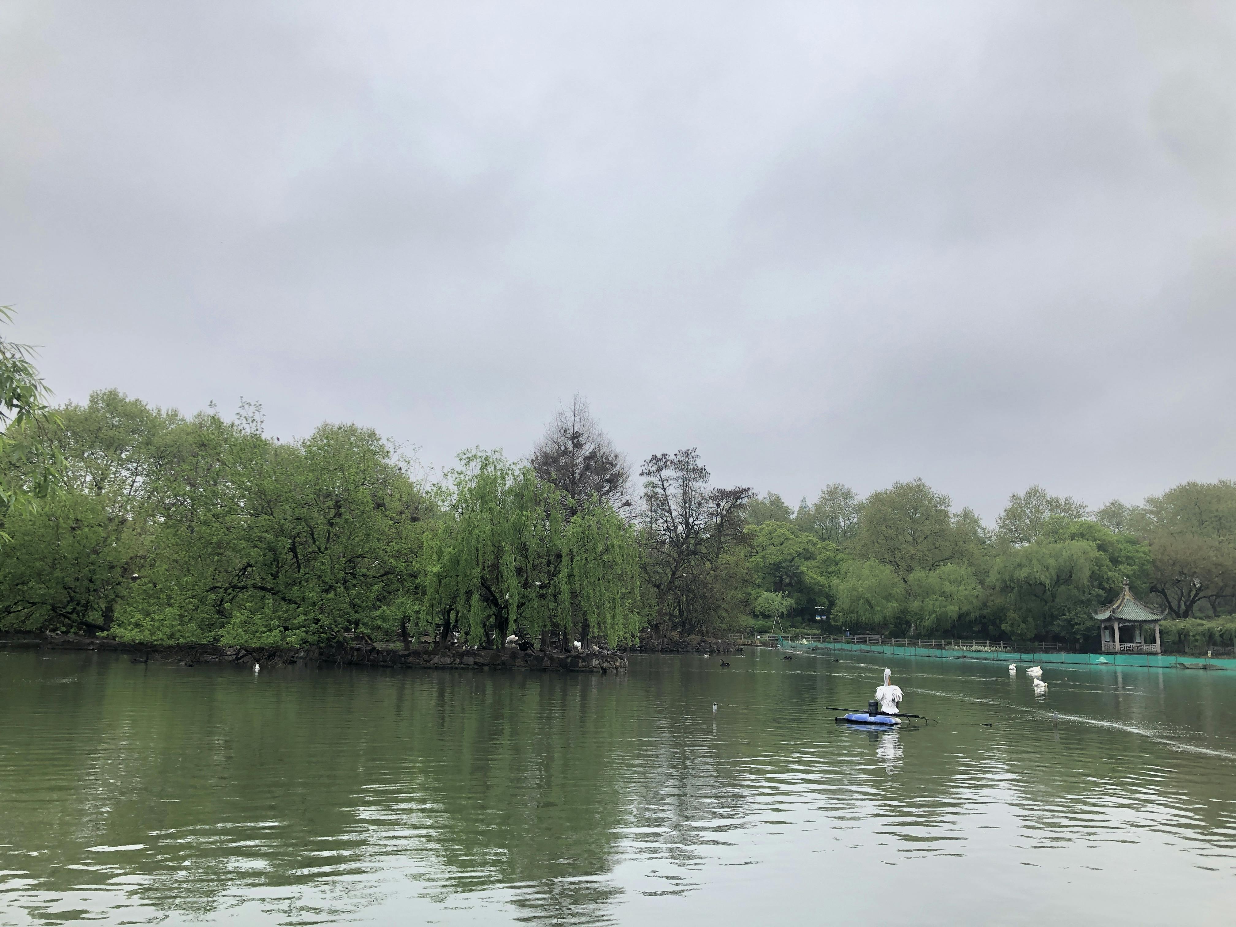 An image to describe post