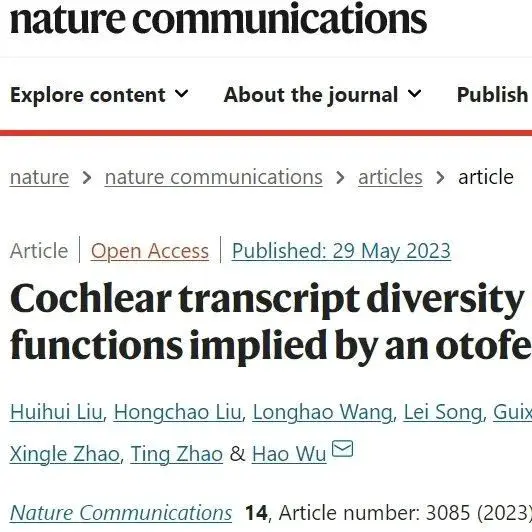 Nature子刊 | 上海交通大学吴皓团队揭示耳蜗突触病变发生新机制