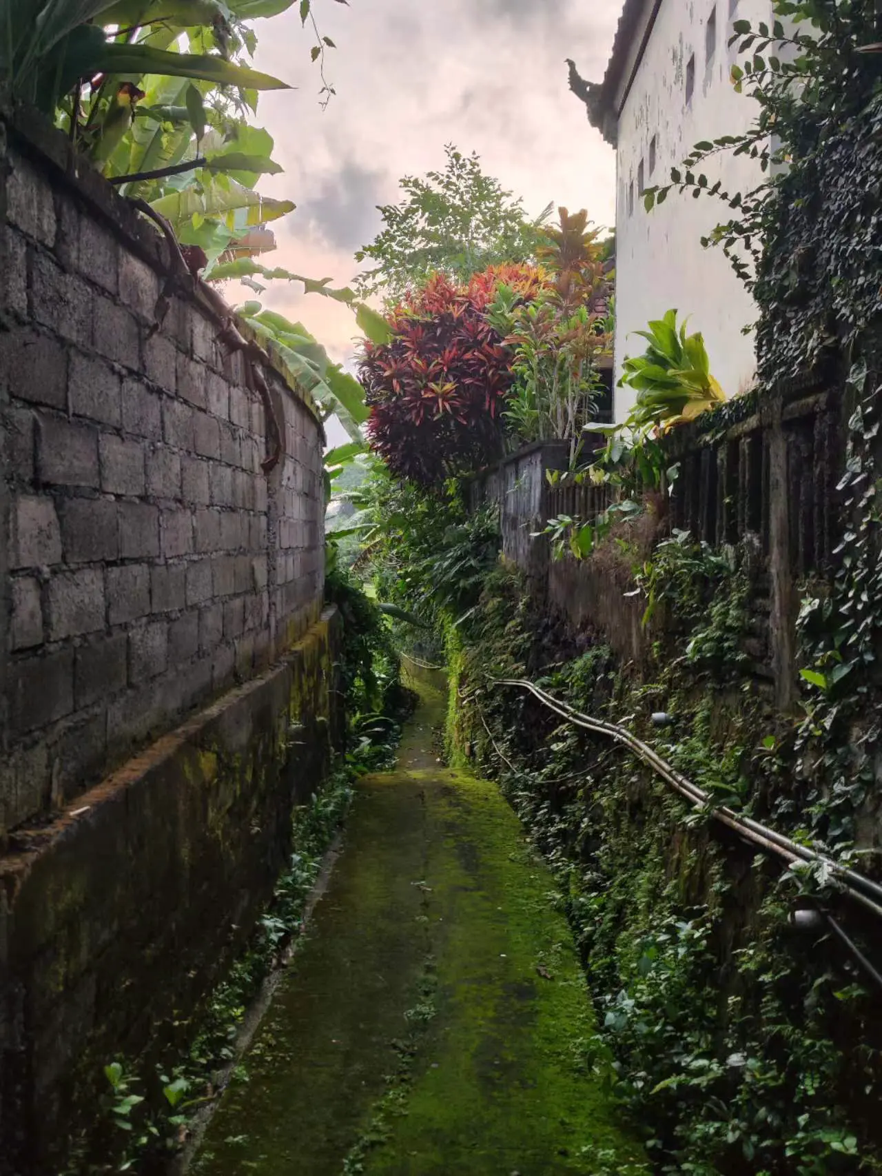 An image to describe post