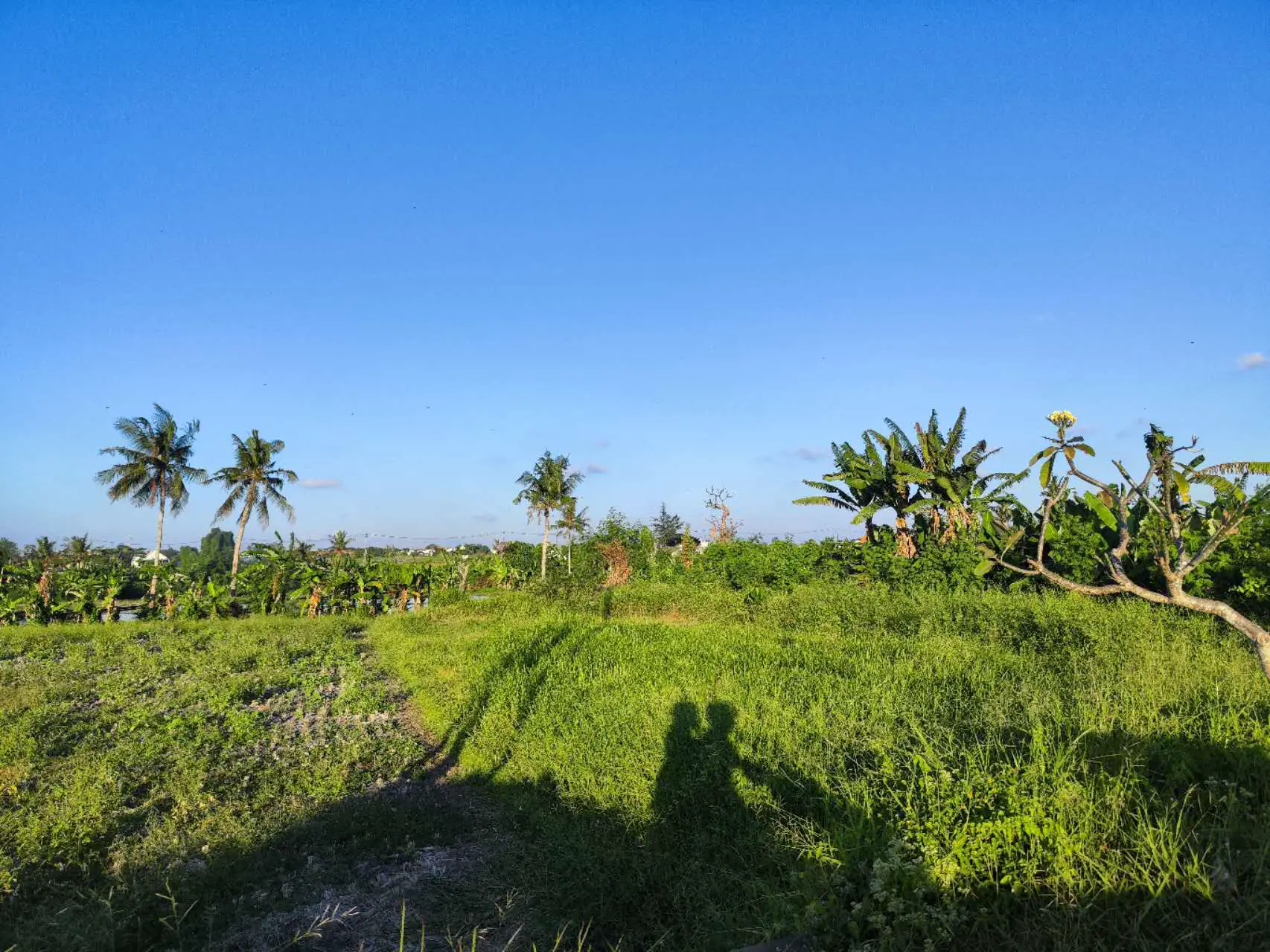 An image to describe post